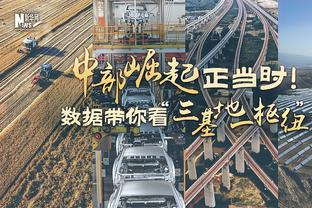 ?季后赛至今湖人全队得分：詹姆斯+浓眉176分 其他人共131分